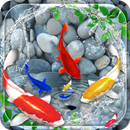Fish Live Wallpaper 3D Touch APK