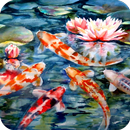 Koi Fish Wallpaper APK