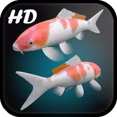 Koi Fish Live Wallpaper 3D APK download