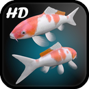 Koi Fish Live Wallpaper 3D aplikacja