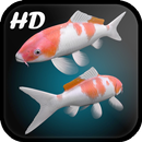 Koi Fish Live Wallpaper 3D-APK
