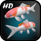 Koi Fish Live Wallpaper 3D آئیکن