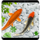 Fish LiveWallpaper AquariumKoi APK