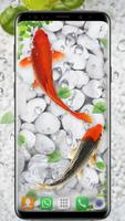 poisson koi vivant fond d'écr Affiche