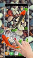 錦鯉魚活 牆紙 截圖 2