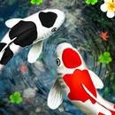 koi fish live wallpaper hd-APK