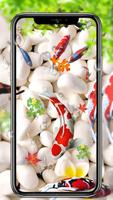 Koi-Fisch-Live-Hintergrundbild Plakat