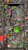Koi-Fisch-Live-Hintergrundbild Screenshot 1