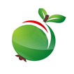 Koiyakka - Search Bachelor Roo icon