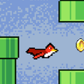 Kazy Bird