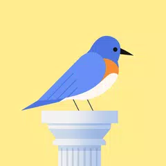 Bouncy Bird：休閒小鳥遊戲 APK 下載
