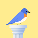 Bouncy Bird ícone