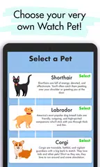 Watch Pet: Widget & Watch Pets XAPK download