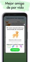 Tu mascota: Cuida tu mascota captura de pantalla 3