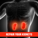 Repair Your Kidneys Naturally APK