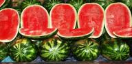 Руководство для начинающих: как скачать Watermelon Prober
