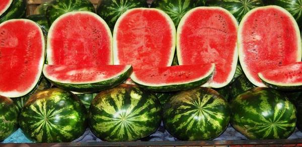 Руководство для начинающих: как скачать Watermelon Prober image