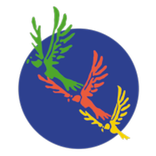 ELARAKI International School