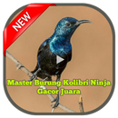 Master Burung Kolibri Ninja Gacor Juara APK