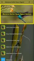 Masteran Kolibri Gacor Ngerol ảnh chụp màn hình 1