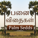 Palm Tree, Buy Palm Seeds - Panai vithaigal Vanga APK