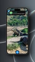 Komodo Dragon Wallpaper screenshot 3