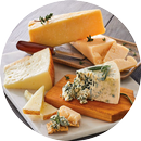 صناعة الجبن بأنواعة APK
