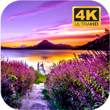Nature Fond d'écran Ultra HD icône