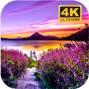 Hình nền thiên nhiên Ultra HD APK
