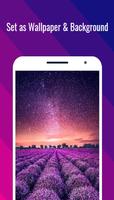 خلفيات الطبيعة Ultra HD 4K تصوير الشاشة 2