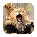 رنات أصوات الأسود APK