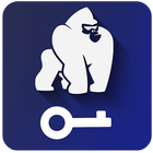 Kong Vpn icône