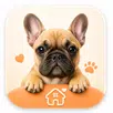 PetPal: Real Desktop Pet APK