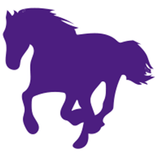 Gerçek At Yarışı Tahminleri