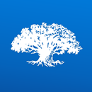 Толдот APK