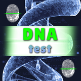 Тест ДНК - Отпечатки пальцев