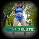 Wani Gelute Dj Jawa Offline X APK