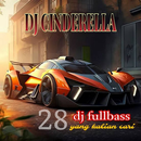 Dj Cinderella Viral 2024 APK
