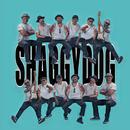 Reggae Shaggydog Full Offline APK