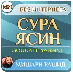 сура ясин Мишари Рашид - коран APK Herunterladen