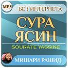 сура ясин Мишари Рашид - коран 图标