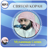 Мухаммад Солих icono