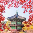 Korea Wallpaper biểu tượng