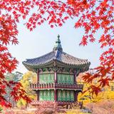 Korea Wallpaper иконка