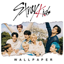 Stray Kids Wallpapers Material APK