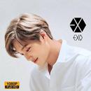 EXO Kai Wallpaper KPOP HD Fans APK