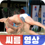 씨름 대회 하이라이트 - 태백 금강 한라 백두 장사대회