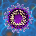 Virology: Small Killers