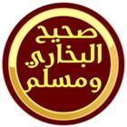 صحيح البخاري  و  صحيح مسلم icono