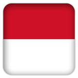 Selfie with Indonesia flag icône